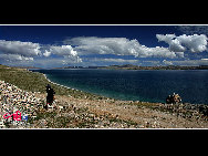 Some 60 kilometers to the northwest of Damxung County of Lhasa, Lake Nam Co is the highest salt lake in the world and largest salt lake in Tibet. It is one of the three holy lakes in Tibet and receives high respects among the local people. On the Tibetan year of sheep, pilgrims from faraway come here to walk around the lake. It takes more than 10 days to circle the lake once. [Photo by Fanlin]