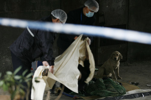 Two workers prepare to cover the body of a dog's owner, a homeless man, frozen to death in Guangzhou, South China's Guangdong province, November 16, 2009. [CFP] 