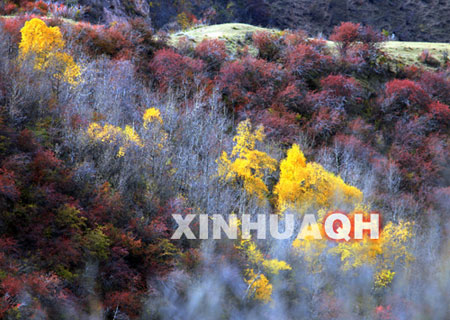 Photo shows the autumn scenery of Guanzhuang, Guide County, Hainan Tibetan Autonomous Prefecture, northwest China's Qinghai Province. (Xinhua Photo) 
