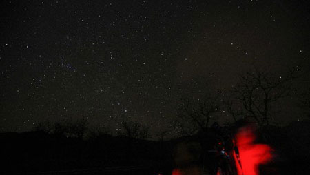 Leonid meteor shower around the world