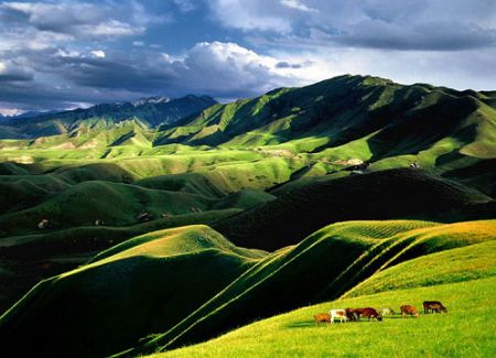 Urumqi Nanshan Grasslands in Xinjiang Uygur Autonomous Region