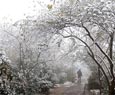 Snow cuts power supply to 640,000 people in E China
