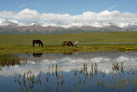 Photo shows a view of the Lake Luanhaizi in Menyuan county, Haibei Tibetan Autonomous Prefecture, Qinghai Province. (Photo: Global Times) 