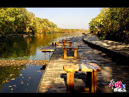 Sanjiaolong Bay is the most beautiful bay in Long Bay group.67km away from Chaoyang town in Huinan County, Jilin province. Sanjiaolong Bay is 687 meters high. Crater wall is 50 to 130 meters high, the lake coverage is 42.6 hectare and the deepest point is 86 meters. There are 18 scenic spots in Sanjiaolong Bay, in which 12 are natural scenic spots. Sanjiaolong Bay possesses graceful mountains and precipitous cliffs, marvelous stones and pleasant waters.[Photo by Yu Wenbin]