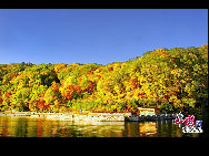 Sanjiaolong Bay is the most beautiful bay in Long Bay group.67km away from Chaoyang town in Huinan County, Jilin province. Sanjiaolong Bay is 687 meters high. Crater wall is 50 to 130 meters high, the lake coverage is 42.6 hectare and the deepest point is 86 meters. There are 18 scenic spots in Sanjiaolong Bay, in which 12 are natural scenic spots. Sanjiaolong Bay possesses graceful mountains and precipitous cliffs, marvelous stones and pleasant waters.[Photo by Yu Wenbin]