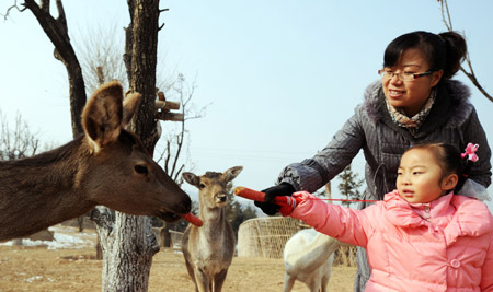 A mother and her daughter feed a wild deer in the Qinghai-Tibet Plateau Safari Park in northwest China's Qinghai Province, Nov. 20, 2009. (Xinhua/Hou Deqiang)