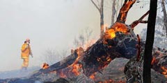 Wildfires sweep across New South Wales