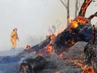Wildfires sweep across New South Wales
