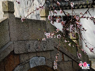 Tongli is an ancient water town in east China's Jiangsu Province. A short drive from Suzhou, Tongli offers a step back in time. Crisscrossed by rivers and canals. Tongli enjoys fame across China for its beautiful rivers, historic bridges and opulent court yard homes. Tongli has 49 stone bridges and many gardens, temples. Because of the landscape, almost all of the buildings are constructed along the waterfront. [Photo by Liu Guoxing]