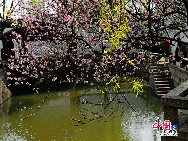 Tongli is an ancient water town in east China's Jiangsu Province. A short drive from Suzhou, Tongli offers a step back in time. Crisscrossed by rivers and canals. Tongli enjoys fame across China for its beautiful rivers, historic bridges and opulent court yard homes. Tongli has 49 stone bridges and many gardens, temples. Because of the landscape, almost all of the buildings are constructed along the waterfront. [Photo by Liu Guoxing]