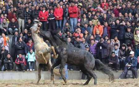 At the Lusheng and Horse Fight Festival in Rongshui Miao Autonomous county, southwest China's Guangxi Zhuang Autonomous Region, performers play the lusheng musical pipe. A dozen lusheng dancing troupes of the Miao ethnic group from the villages of mountainous Rongshui perform the lusheng dance. Visitors can also watch horses fight at the festival. [Globaltimes.cn]
