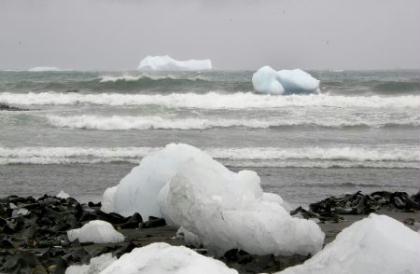 In this Nov. 16, 2009 photo released by the Australian Antarctic Division, an iceberg is seen at Sandy Bay on Macquarie Island's east coast, in the Southern Ocean 1,500 kilometers (930 miles) southeast of Tasmania, Australia.[Xinhua/AFP] 