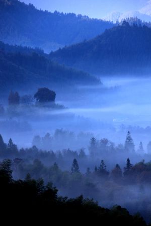 Photo taken on Nov. 25, 2009 shows a fairyland view of terraced folk dwellings hazed in the expansive dense fog, at the mountainside of Yellow Mountain, in Yixian, east China's Anhui Province. (Xinhua/Shi Guangde) 