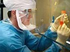A/H1N1 flu virus mutation found on Chinese mainland