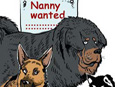 Wanted: Bachelor with no life to look after 14 dogs