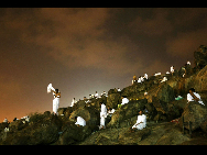  Muslim pilgrims pray on Mount Mercy on the plains of Arafat outside the holy city of Mecca November 26, 2009. [Xinhua]