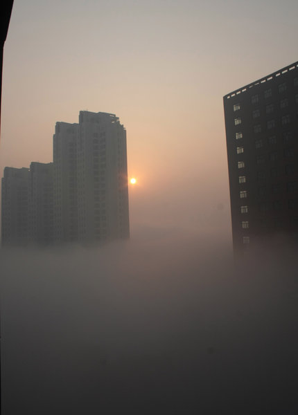 Heavy fog blankets Handan, North China&apos;s Hebei Province, November 26, 2009. [CFP]