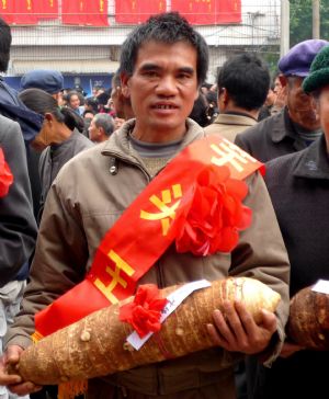 A farmer shows one of the winners entitled &apos;taro king&apos; at the seventh taro and yam contest held in Anhe Township of Quanzhou County, southwest China&apos;s Guangxi Zhuang Autonomous Region, Nov. 25, 2009.[Wang Zichuang/Xinhua]