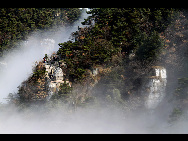 Cold air around Lushan, a celebrated mountain scenic area in East China's Jiangxi Province, created a misty fairyland on Nov. 29, 2009. [CFP]