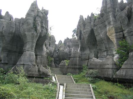 The Stone Forest is known as 'One of the Earth's Natural Wonders.' All visitors to Kunming whether from China or abroad come here to admire the unique scenes formed by the stones. The Stone Forest is located in Shilin county, 85 kilometers southeast of Kunming. 