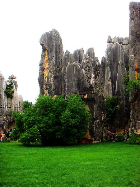 The Stone Forest is known as 'One of the Earth's Natural Wonders.' All visitors to Kunming whether from China or abroad come here to admire the unique scenes formed by the stones. The Stone Forest is located in Shilin county, 85 kilometers southeast of Kunming. 