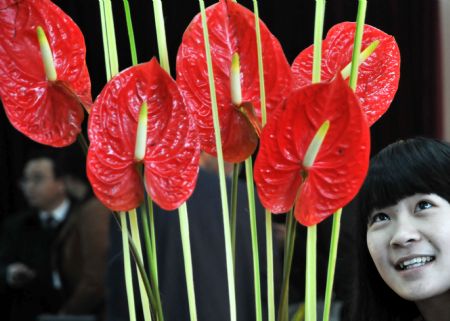 A visitor appreciates ikebana work during the 2nd Wuhu ikebana contest held in Wuhu city, east China's Anhui Province, Nov. 29, 2009. Fifty-eight contestants took part in the ikebana theoretics and skill contest on Sunday. The first prize winner of the contest will receive skill topmost master certificate and trophy from local labor administrative department. 