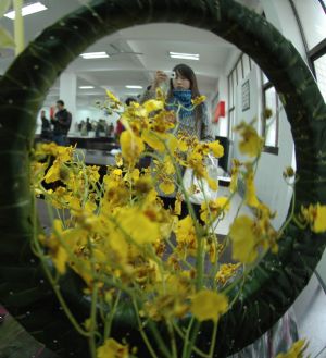 A visitor takes pictures of ikebana works during the 2nd Wuhu ikebana contest held in Wuhu city, east China's Anhui Province, Nov. 29, 2009. Fifty-eight contestants took part in the ikebana theoretics and skill contest on Sunday. The first prize winner of the contest will receive skill topmost master certificate and trophy from local labor administrative department. 