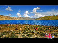 Photo shows the superb view of the wonderland at the foot of Mt. Qomolangma, Tingri County, Xigaze Prefecture of Tibet Autonomous Region.Mt. Qomolangma is the highest mountain on Earth, and the highest point on the Earth's continental crust, as measured by the height above sea level of its summit, 8,848 metres (29,029 ft). [Photo by Liu Baohua]