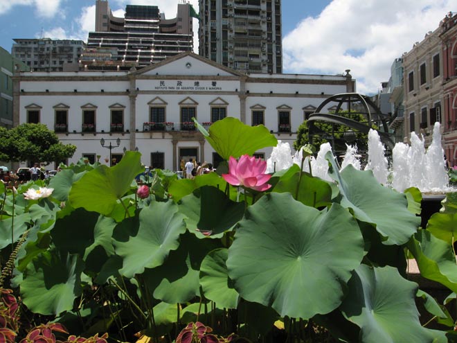 The 'Leal Senado' building was first established in 1784 and was later rebuilt in 1938.