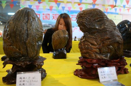 A girl enjoys rare stones in a rare stone fair in Hezhou, southwest China&apos;s Guangxi Zhuang Autonomous Region, Dec. 3, 2009.(Xinhua/Huang Xuhu)