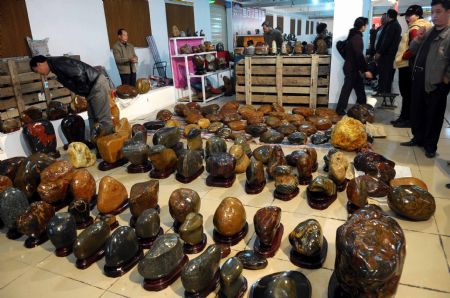 People enjoys rare stones in a rare stone fair in Hezhou, southwest China&apos;s Guangxi Zhuang Autonomous Region, Dec. 3, 2009.(Xinhua/Huang Xuhu)