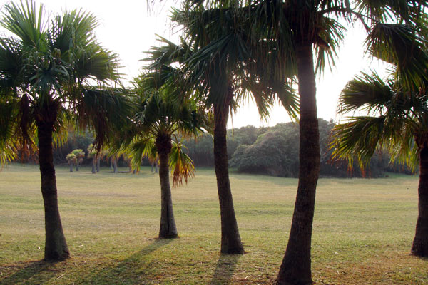 Kenting is famous for its tropical climate and sunshine. [CRI]