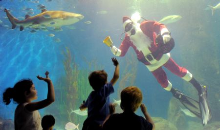 A diver is clad in a Santa Claus costume welcomes visitors to an aquarium in Melbourne, Australia, Dec. 7, 2009. [Xinhua/AFP]