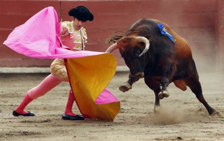 matador jose tomas performs a pass on a bull during a bullfight