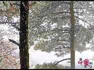 The frost, also known as 'Wusong', or rime, usually appears during winter in the areas surrounding the Songhua River. This unusual phenomenon is the result of interaction between the cold air and warm vapor from the nearby river. Beautiful rime in Jilin is regarded as one of China's four natural wonders along with the landscape of mountains and waters in Guilin, Guangxi Zhuang Autonomous Region, the Stone Forest in Yunnan province, and the Three Gorges along the Yangtze River. [Photo by Zhang Yue]