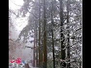 The frost, also known as 'Wusong', or rime, usually appears during winter in the areas surrounding the Songhua River. This unusual phenomenon is the result of interaction between the cold air and warm vapor from the nearby river. Beautiful rime in Jilin is regarded as one of China's four natural wonders along with the landscape of mountains and waters in Guilin, Guangxi Zhuang Autonomous Region, the Stone Forest in Yunnan province, and the Three Gorges along the Yangtze River. [Photo by Zhang Yue]