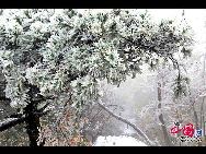 The frost, also known as 'Wusong', or rime, usually appears during winter in the areas surrounding the Songhua River. This unusual phenomenon is the result of interaction between the cold air and warm vapor from the nearby river. Beautiful rime in Jilin is regarded as one of China's four natural wonders along with the landscape of mountains and waters in Guilin, Guangxi Zhuang Autonomous Region, the Stone Forest in Yunnan province, and the Three Gorges along the Yangtze River. [Photo by Zhang Yue]