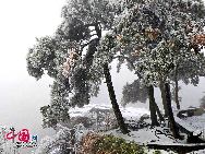 The frost, also known as 'Wusong', or rime, usually appears during winter in the areas surrounding the Songhua River. This unusual phenomenon is the result of interaction between the cold air and warm vapor from the nearby river. Beautiful rime in Jilin is regarded as one of China's four natural wonders along with the landscape of mountains and waters in Guilin, Guangxi Zhuang Autonomous Region, the Stone Forest in Yunnan province, and the Three Gorges along the Yangtze River. [Photo by Zhang Yue]