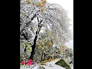 The frost, also known as 'Wusong', or rime, usually appears during winter in the areas surrounding the Songhua River. This unusual phenomenon is the result of interaction between the cold air and warm vapor from the nearby river. Beautiful rime in Jilin is regarded as one of China's four natural wonders along with the landscape of mountains and waters in Guilin, Guangxi Zhuang Autonomous Region, the Stone Forest in Yunnan province, and the Three Gorges along the Yangtze River. [Photo by Zhang Yue]