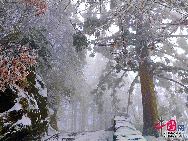 The frost, also known as 'Wusong', or rime, usually appears during winter in the areas surrounding the Songhua River. This unusual phenomenon is the result of interaction between the cold air and warm vapor from the nearby river. Beautiful rime in Jilin is regarded as one of China's four natural wonders along with the landscape of mountains and waters in Guilin, Guangxi Zhuang Autonomous Region, the Stone Forest in Yunnan province, and the Three Gorges along the Yangtze River. [Photo by Zhang Yue]