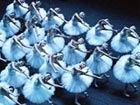 National Ballet celebrates 50th anniversary