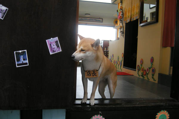 Jioufen, also known as Jiufen or Chiufen, is a mountain town in the Rueifang Township of Taipei County. [CRI]