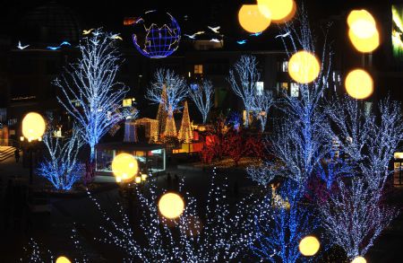 The photo taken on Dec. 8, 2009 shows the lighting scenery at the west gate square of Chaoyang Park in Beijing, capital of China. The lighting sceneries formed by hundreds of thousands of colorful lights were lit for trial before the coming of the New Year Lighting Festival. [Xinhua]