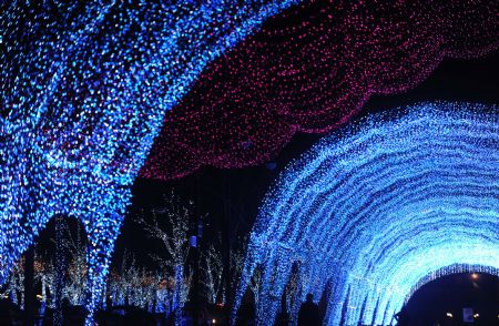 The photo taken on Dec. 8, 2009 shows the lighting scenery at the west gate square of Chaoyang Park in Beijing, capital of China. The lighting sceneries formed by hundreds of thousands of colorful lights were lit for trial before the coming of the New Year Lighting Festival. [Xinhua]