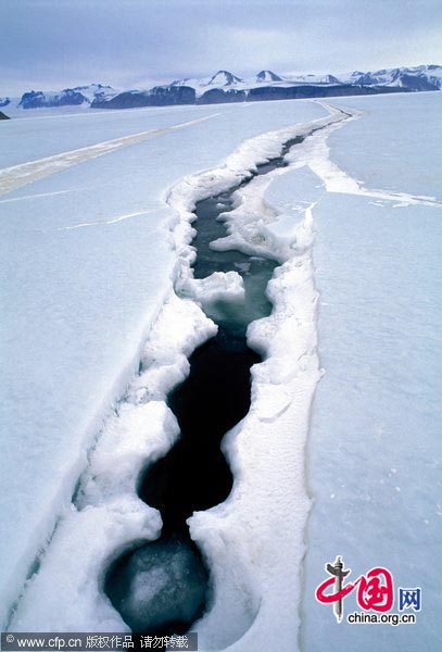 A crack in sea ice. Tidal shifts cause sea ice to crack in pressure ridges near islands.[CFP]