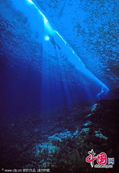 A diver swims just below a crack in the sea ice. Tidal shifts cause sea ice to crack in pressure ridges near islands.[CFP]