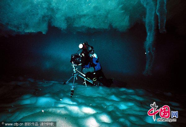 Norbert Wu photographing under the ice in Antarctica, on the shelf of an iceberg. A brine channel stalactite and sea ice ceiling is in photo.[CFP]