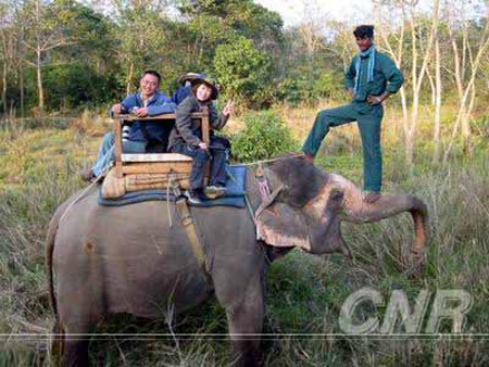 Photo shows tourists riding an elephant in a forest park in Nepal. (Photo Source: CNR.cn))