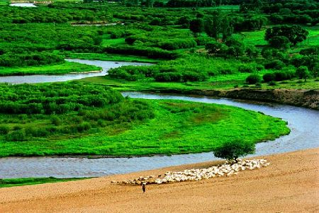 Gongger Grassland is the Mongolian grassland closest to Beijing, combining beautiful natural landscape and fascinating Mongolian folk culture. The grassland is located in Keshiketeng Banner, boasting one of the world's two remaining forests of Korean spruce wood, which is regarded as a 'living fossil'. [Globaltimes.cn]