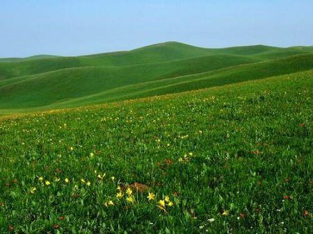 Gongger Grassland is the Mongolian grassland closest to Beijing, combining beautiful natural landscape and fascinating Mongolian folk culture. The grassland is located in Keshiketeng Banner, boasting one of the world's two remaining forests of Korean spruce wood, which is regarded as a 'living fossil'. [Globaltimes.cn]